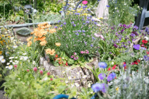 Open Garden – The Place to Create Communities